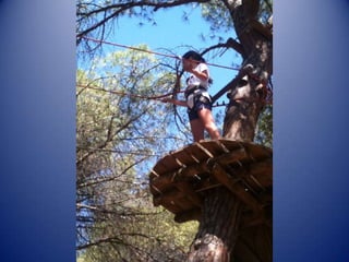 Recull fotogràfic 4a setmana