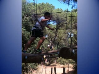 Recull fotogràfic 4a setmana