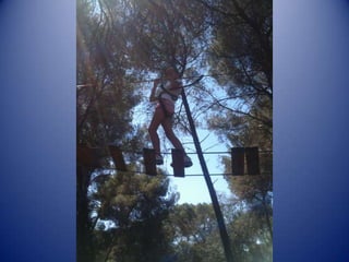 Recull fotogràfic 4a setmana