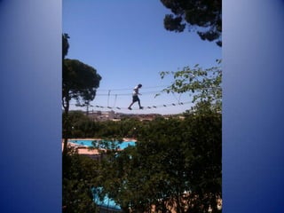 Recull fotogràfic 4a setmana