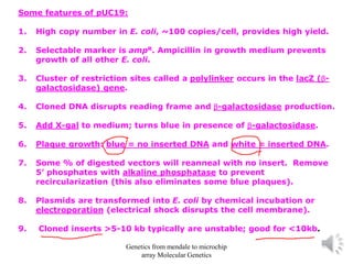 Some features of pUC19:
1. High copy number in E. coli, ~100 copies/cell, provides high yield.
2. Selectable marker is ampR. Ampicillin in growth medium prevents
growth of all other E. coli.
3. Cluster of restriction sites called a polylinker occurs in the lacZ (-
galactosidase) gene.
4. Cloned DNA disrupts reading frame and -galactosidase production.
5. Add X-gal to medium; turns blue in presence of -galactosidase.
6. Plaque growth: blue = no inserted DNA and white = inserted DNA.
7. Some % of digested vectors will reanneal with no insert. Remove
5’ phosphates with alkaline phosphatase to prevent
recircularization (this also eliminates some blue plaques).
8. Plasmids are transformed into E. coli by chemical incubation or
electroporation (electrical shock disrupts the cell membrane).
9. Cloned inserts >5-10 kb typically are unstable; good for <10kb.
Genetics from mendale to microchip
array Molecular Genetics
 
