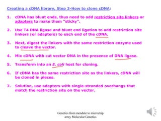 Creating a cDNA library, Step 3-How to clone cDNA:
1. cDNA has blunt ends, thus need to add restriction site linkers or
adapters to make them “sticky”.
2. Use T4 DNA ligase and blunt end ligation to add restriction site
linkers (or adapters) to each end of the cDNA.
3. Next, digest the linkers with the same restriction enzyme used
to cleave the vector.
4. Mix cDNA with cut vector DNA in the presence of DNA ligase.
5. Transform into an E. coli host for cloning.
6. If cDNA has the same restriction site as the linkers, cDNA will
be cloned in pieces.
7. Solution, use adapters with single-stranded overhangs that
match the restriction site on the vector.
Genetics from mendale to microchip
array Molecular Genetics
 