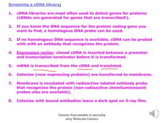 Screening a cDNA library:
1. cDNA libraries are most often used to detect genes for proteins
(cDNAs are generated for genes that are transcribed!).
2. If you know the DNA sequence for the protein coding gene you
want to find, a homologous DNA probe can be used.
3. If no homologous DNA sequence is available, cDNA can be probed
with with an antibody that recognizes the protein.
4. Expression vector: cloned cDNA is inserted between a promoter
and transcription terminator before it is transformed.
5. mRNA is transcribed from the cDNA and translated.
6. Colonies (now expressing proteins) are transferred to membrane.
7. Membrane is incubated with radioactive labeled antibody probe
that recognizes the protein (non-radioactive chemiluminescent
probes also are available).
8. Colonies with bound antibodies leave a dark spot on X-ray film.
Genetics from mendale to microchip
array Molecular Genetics
 