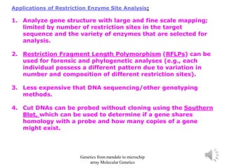Applications of Restriction Enzyme Site Analysis:
1. Analyze gene structure with large and fine scale mapping;
limited by number of restriction sites in the target
sequence and the variety of enzymes that are selected for
analysis.
2. Restriction Fragment Length Polymorphism (RFLPs) can be
used for forensic and phylogenetic analyses (e.g., each
individual possess a different pattern due to variation in
number and composition of different restriction sites).
3. Less expensive that DNA sequencing/other genotyping
methods.
4. Cut DNAs can be probed without cloning using the Southern
Blot, which can be used to determine if a gene shares
homology with a probe and how many copies of a gene
might exist.
Genetics from mendale to microchip
array Molecular Genetics
 