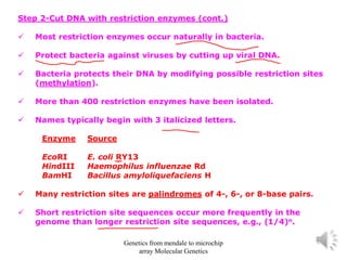 Step 2-Cut DNA with restriction enzymes (cont.)
✓ Most restriction enzymes occur naturally in bacteria.
✓ Protect bacteria against viruses by cutting up viral DNA.
✓ Bacteria protects their DNA by modifying possible restriction sites
(methylation).
✓ More than 400 restriction enzymes have been isolated.
✓ Names typically begin with 3 italicized letters.
Enzyme Source
EcoRI E. coli RY13
HindIII Haemophilus influenzae Rd
BamHI Bacillus amyloliquefaciens H
✓ Many restriction sites are palindromes of 4-, 6-, or 8-base pairs.
✓ Short restriction site sequences occur more frequently in the
genome than longer restriction site sequences, e.g., (1/4)n.
Genetics from mendale to microchip
array Molecular Genetics
 