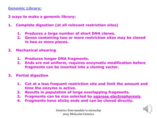 Genomic Library:
3 ways to make a genomic library:
1. Complete digestion (at all relevant restriction sites)
1. Produces a large number of short DNA clones.
2. Genes containing two or more restriction sites may be cloned
in two or more pieces.
2. Mechanical shearing
1. Produces longer DNA fragments.
2. Ends are not uniform, requires enzymatic modification before
fragments can be inserted into a cloning vector.
3. Partial digestion
1. Cut at a less frequent restriction site and limit the amount and
time the enzyme is active.
2. Results in population of large overlapping fragments.
3. Fragments can be size selected by agarose electrophoresis.
4. Fragments have sticky ends and can be cloned directly.
Genetics from mendale to microchip
array Molecular Genetics
 