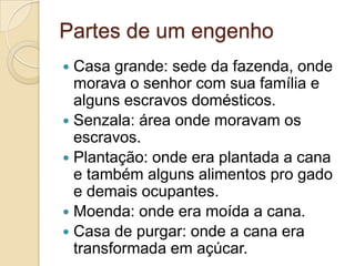Partes de um engenho
 Casa grande: sede da fazenda, onde
  morava o senhor com sua família e
  alguns escravos domésticos.
 Senzala: área onde moravam os
  escravos.
 Plantação: onde era plantada a cana
  e também alguns alimentos pro gado
  e demais ocupantes.
 Moenda: onde era moída a cana.
 Casa de purgar: onde a cana era
  transformada em açúcar.
 