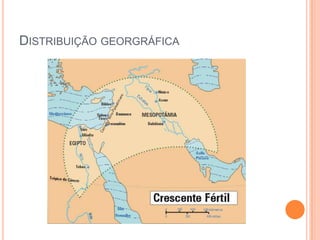 DISTRIBUIÇÃO GEORGRÁFICA
 