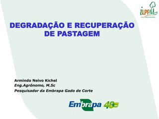 DEGRADAÇÃO E RECUPERAÇÃO
DE PASTAGEM

Armindo Neivo Kichel
Eng.Agrônomo, M.Sc
Pesquisador da Embrapa Gado de Corte

 