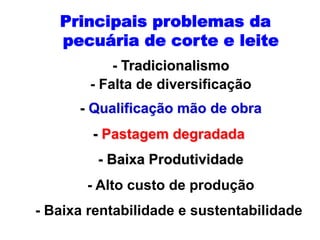 Principais problemas da
pecuária de corte e leite
- Tradicionalismo
- Falta de diversificação
- Qualificação mão de obra
-...