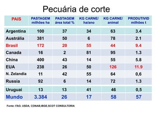 Pecuária de corte
PAIS

PASTAGEM
milhões ha

PASTAGEM
área total %

KG CARNE/
ha/ano

KG CARNE/
animal

PRODUTIVID
milhões...