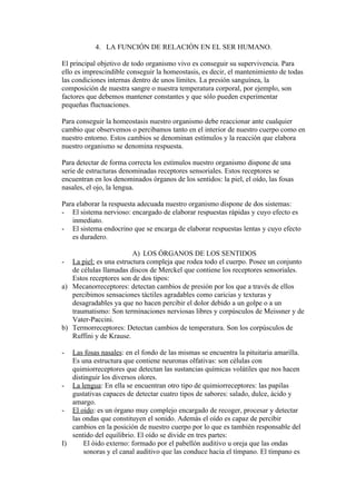 4. LA FUNCIÓN DE RELACIÓN EN EL SER HUMANO.

El principal objetivo de todo organismo vivo es conseguir su supervivencia. Para
ello es imprescindible conseguir la homeostasis, es decir, el mantenimiento de todas
las condiciones internas dentro de unos límites. La presión sanguínea, la
composición de nuestra sangre o nuestra temperatura corporal, por ejemplo, son
factores que debemos mantener constantes y que sólo pueden experimentar
pequeñas fluctuaciones.

Para conseguir la homeostasis nuestro organismo debe reaccionar ante cualquier
cambio que observemos o percibamos tanto en el interior de nuestro cuerpo como en
nuestro entorno. Estos cambios se denominan estímulos y la reacción que elabora
nuestro organismo se denomina respuesta.

Para detectar de forma correcta los estímulos nuestro organismo dispone de una
serie de estructuras denominadas receptores sensoriales. Estos receptores se
encuentran en los denominados órganos de los sentidos: la piel, el oído, las fosas
nasales, el ojo, la lengua.

Para elaborar la respuesta adecuada nuestro organismo dispone de dos sistemas:
- El sistema nervioso: encargado de elaborar respuestas rápidas y cuyo efecto es
   inmediato.
- El sistema endocrino que se encarga de elaborar respuestas lentas y cuyo efecto
   es duradero.

                        A) LOS ÓRGANOS DE LOS SENTIDOS
- La piel: es una estructura compleja que rodea todo el cuerpo. Posee un conjunto
   de células llamadas discos de Merckel que contiene los receptores sensoriales.
   Estos receptores son de dos tipos:
a) Mecanorreceptores: detectan cambios de presión por los que a través de ellos
   percibimos sensaciones táctiles agradables como caricias y texturas y
   desagradables ya que no hacen percibir el dolor debido a un golpe o a un
   traumatismo: Son terminaciones nerviosas libres y corpúsculos de Meissner y de
   Vater-Paccini.
b) Termorreceptores: Detectan cambios de temperatura. Son los corpúsculos de
   Ruffini y de Krause.

-  Las fosas nasales: en el fondo de las mismas se encuentra la pituitaria amarilla.
   Es una estructura que contiene neuronas olfativas: son células con
   quimiorreceptores que detectan las sustancias químicas volátiles que nos hacen
   distinguir los diversos olores.
- La lengua: En ella se encuentran otro tipo de quimiorreceptores: las papilas
   gustativas capaces de detectar cuatro tipos de sabores: salado, dulce, ácido y
   amargo.
- El oido: es un órgano muy complejo encargado de recoger, procesar y detectar
   las ondas que constituyen el sonido. Además el oído es capaz de percibir
   cambios en la posición de nuestro cuerpo por lo que es también responsable del
   sentido del equilibrio. El oído se divide en tres partes:
I)     El óido externo: formado por el pabellón auditivo u oreja que las ondas
       sonoras y el canal auditivo que las conduce hacia el tímpano. El tímpano es
 