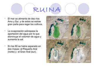 RUINA
   El mar se alimenta de dos ríos
    Amu y Syr, y de estos se extrae
    gran parte para regar los cultivos.

   La evaporación sobrepasa la
    aportación del agua por lo que
    disminuye el volumen de agua y
    aumenta la sal.

   En los 80 se había separado en
    dos masas: el Pequeño Aral
    (norte) y el Gran Aral (sur).
 