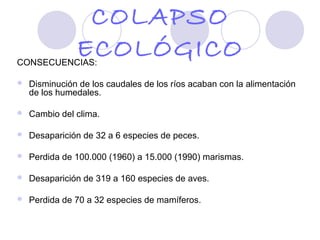 COLAPSO
CONSECUENCIAS:
               ECOLÓGICO
   Disminución de los caudales de los ríos acaban con la alimentación
    de los humedales.

   Cambio del clima.

   Desaparición de 32 a 6 especies de peces.

   Perdida de 100.000 (1960) a 15.000 (1990) marismas.

   Desaparición de 319 a 160 especies de aves.

   Perdida de 70 a 32 especies de mamíferos.
 