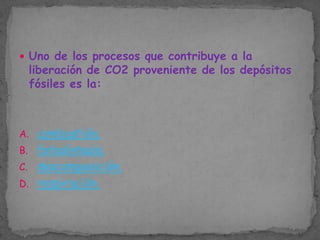  Uno de los procesos que contribuye a la

liberación de CO2 proveniente de los depósitos
fósiles es la:

A. combustión.
B. fotosíntesis.
C. descomposición.
D. respiración.

 