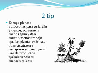 2 tip
 Escoge plantas
autóctonas para tu jardín
y tiestos, consumen
menos agua y dan
mucho menos trabajo
que las plantas exóticas,
además atraen a
mariposas y no exigen el
uso de productos
químicos para su
mantenimiento
 