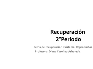 Recuperación
2°Periodo
Tema de recuperación : Sistema Reproductor
Profesora: Diana Carolina Arboleda
 