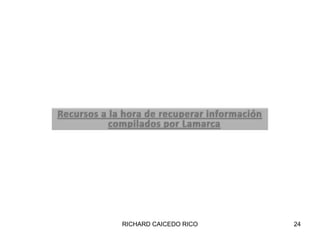 RICHARD CAICEDO RICO24