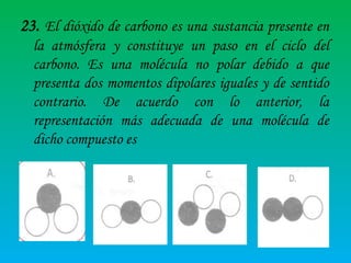 23. El dióxido de carbono es una sustancia presente en
la atmósfera y constituye un paso en el ciclo del
carbono. Es una molécula no polar debido a que
presenta dos momentos dipolares iguales y de sentido
contrario. De acuerdo con lo anterior, la
representación más adecuada de una molécula de
dicho compuesto es

 