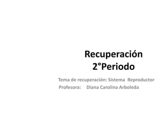 Recuperación
2°Periodo
Tema de recuperación: Sistema Reproductor
Profesora: Diana Carolina Arboleda
 