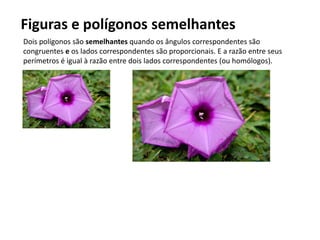 Teorema da bissetriz externaC5 cm4 cmx6 cmBAConferindo:Resposta: 10 m.