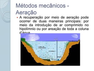 Métodos mecânicos -
Aeração
   A recuperação por meio de aeração pode
    ocorrer de duas maneiras principais: por
    meio da introdução de ar comprimido no
    hipolímnio ou por areação de toda a coluna
    d’água.
 
