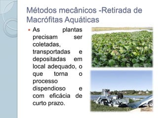 Métodos mecânicos -Retirada de
Macrófitas Aquáticas
   As         plantas
    precisam       ser
    coletadas,
    transportadas e
    depositadas em
    local adequado, o
    que     torna    o
    processo
    dispendioso      e
    com eficácia de
    curto prazo.
 