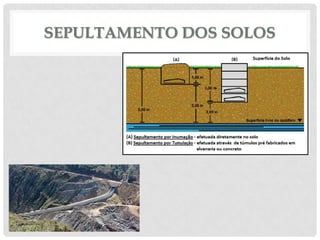 SEPULTAMENTO DOS SOLOS

 