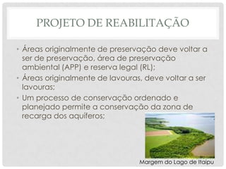PROJETO DE REABILITAÇÃO
• Áreas originalmente de preservação deve voltar a
ser de preservação, área de preservação
ambiental (APP) e reserva legal (RL);
• Áreas originalmente de lavouras, deve voltar a ser
lavouras;
• Um processo de conservação ordenado e
planejado permite a conservação da zona de
recarga dos aquíferos;

Margem do Lago de Itaipu

 