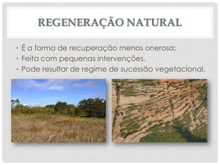 REGENERAÇÃO NATURAL
• É a forma de recuperação menos onerosa;
• Feita com pequenas intervenções.
• Pode resultar de regime de sucessão vegetacional.

 