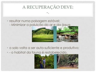 A RECUPERAÇÃO DEVE:
-.
• resultar numa paisagem estável;
- Minimizar a poluição do ar e da água

• o solo volta a ser auto-suficiente e produtivo;
• - o habitat da fauna é restabelecido.

 