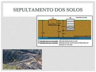 SEPULTAMENTO DOS SOLOS
 