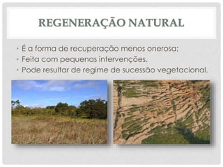 REGENERAÇÃO NATURAL
• É a forma de recuperação menos onerosa;
• Feita com pequenas intervenções.
• Pode resultar de regime de sucessão vegetacional.
 
