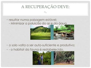 A RECUPERAÇÃO DEVE:
-.
• resultar numa paisagem estável;
- Minimizar a poluição do ar e da água
• o solo volta a ser auto-suficiente e produtivo;
• - o habitat da fauna é restabelecido.
 