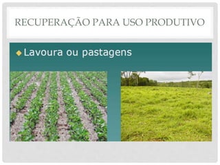 RECUPERAÇÃO PARA USO PRODUTIVO
 