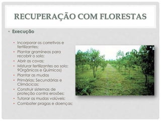 RECUPERAÇÃO COM FLORESTAS
• Execução
• Incorporar os corretivos e
fertilizantes;
• Plantar gramíneas para
recobrir o solo;
• Abrir as covas;
• Misturar fertilizantes ao solo;
9Orgânicos e Químicos)
• Plantar as mudas
• Primárias; Secundárias e
Climácicas;
• Construir sistemas de
proteção contra erosões;
• Tutorar as mudas volúveis;
• Combater pragas e doenças;
 