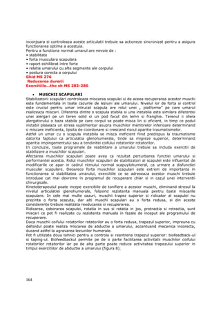 inconjoara si controleaza aceste articulatii trebuie sa actioneze sincronizat pentru a asigura
functionarea optima a acestuia.
Pentru a functiona normal umarul are nevoie de :
• stabilitate
• forta musculara scapulara
• raport echilibrat intre forte
• relatia umarului cu alte segmente ale corpului
• postura corecta a corpului
Ghid MS 276
 Reducerea durerii
Exercitiile…the sh MS 283-286

    • MUSCHII SCAPULARI
Stabilizatorii scapulari controleaza miscarea scapulei si de aceea recuperarea acestor muschi
este fundamentala in toate cazurile de leziuni ale umarului. Nivelul lor de forta si control
este crucial pentru umar intrucat scapula are rolul unei „ platforme” pe care umarul
realizeaza miscari. Diferenta dintre o scapula stabila si una instabila este similara diferentei
unei alergari pe un teren solid si un pod facut din lemn si franghie. Terenul ii ofera
alergatorului o baza stabila pe care corpul se poate misca lin si eficient, in timp ce podul
instabil plaseaza un stress suplimentar asupra muschilor membrelor inferioare determinand
o miscare ineficienta, lipsita de coordonare si crescand riscul aparitie traumatismelor.
Astfel un umar cu o scapula instabila se misca ineficient fiind predispus la traumatisme
datorita faptului ca articulatia glenohumerala, tinde sa migreze superior, determinand
aparitia impingementului sau a tendinitei coifului rotatorilor rotatorilor.
In concluzie, toate programele de reabilitare a umarului trebuie sa includa exercitii de
stabilizare a muschilor scapulari.
Afectarea muschilor scapulari poate avea ca rezultat perturbarea functiei umarului si
performantei acestia. Rolul muschilor scapulari de stabilizatori ai scapulei este influentat de
modificarile ce apar in cadrul ritmului normal scapuylohumeral, ca urmare a disfunctiei
muscular scapulare. Deoarece forta muschilor scapulari este extrem de importanta in
functionarea si stabilitatea umarului, exercitiile ce se adreseaza acestor muschi trebuie
introduse cat mai devreme in programul de recuperare chiar si in cazul unei interventii
chirurgicale.
Kinetoterapeutul poate incepe exercitiile de tonifiere a acestor muschi, eliminand stresul la
nivelul articulatiei glenohumerale, folosind rezistenta manuala pentru toate miscarile
scapulare. In cele mai multe cazuri, muschii trapez superior si ridicator al scapulei nu
prezinta o forta scazuta, dar alti muschi scapulari au o forta redusa, si din aceste
considerente trebuie realizata reeducarea si recuperarea.
Ridicarea, coborarea scapulei, rotatia in sus si rotatia in jos, protractia si retractia, sunt
miscari ce pot fi realizate cu rezistenta manuala in fazale de inceput ale programului de
recuperare.
Daca muschii coifului rotatorilor rotatorilor au o forta redusa, trapezul superior, impreuna cu
deltoidul poate realiza miscarea de abductie a umarului, accentuand mecanica incorecta,
ducand astfel la agravarea leziunilor humerale.
Pot fi utilizate doua tehnici pentru a controla si reantrena trapezul superior: biofeedback-ul
si taping-ul. Biofeedbackul permite pe de o parte facilitarea activitatii muschilor coifului
rotatorilor rotatorilor iar pe de alta parte poate reduce activitatea trapezului superior in
timpul exercitiilor de abductie a umarului (figura 8).




164
 