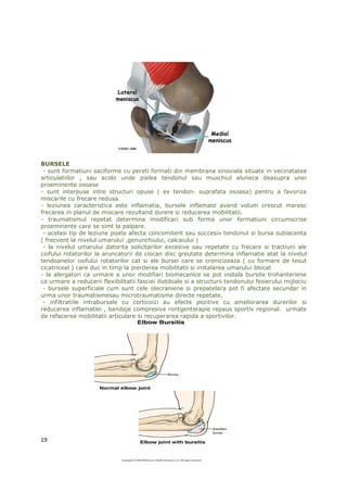 BURSELE
 - sunt formatiuni saciforme cu pereti formati din membrana sinoviala situate in vecinatatea
articulatiilor , sau acolo unde pielea tendonul sau muschiul aluneca deasupra unei
proeminente osoase
- sunt interpuse intre structuri opuse ( ex tendon- suprafata osoasa) pentru a favoriza
miscarile cu frecare redusa.
- leziunea caracteristica este inflamatia, bursele inflamate avand volum crescut maresc
frecarea in planul de miscare rezultand durere si reducerea mobilitatii.
- traumatismul repetat determina modificari sub forma unor formatiuni circumscrise
proeminente care se simt la palpare.
 - acelasi tip de leziune poate afecta concomitent sau succesiv tendonul si bursa subiacenta
( frecvent la nivelul umarului ,genunchiului, calcaiului )
 - la nivelul umarului datorita solicitarilor excesive sau repetate cu frecare si tractiuni ale
coifului rotatorilor la aruncatorii de ciocan disc greutate determina inflamatie atat la nivelul
tendoanelor coifului rotatorilor cat si ale bursei care se cronicizeaza ( cu formare de tesut
cicatriceal ) care duc in timp la pierderea mobilitatii si instalarea umarului blocat
- la alergatori ca urmare a unor modifiari biomecanice se pot instala bursite trohanteriene
ca urmare a reducerii flexibilitatii fasciei iliotibiale si a structurii tendonului fesierului mijlociu
 - bursele superficiale cum sunt cele olecraniene si prepatelara pot fi afectate secundar in
urma unor traumatismesau microtraumatisme directe repetate.
 - infiltratiile intrabursale cu corticoizi au efecte pozitive cu ameliorarea durerilor si
reducerea inflamatiei , bandaje compresive rontgenterapie repaus sportiv regional. urmate
de refacerea mobilitatii articulare si recuperarea rapida a sportivilor.




19
 