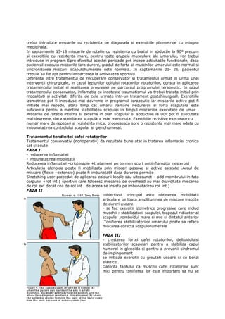 trebui introduce miscarile cu rezistenta pe diagonala si exercitiile pliometrice cu mingea
medicinala.
In saptamanile 15-18 miscarile de rotatie cu rezistenta cu bratul in abductie la 90º precum
si exercitiile cu rezistenta mare, pentru toate grupele musculare ale umarului, vor trebui
introduse in program Spre sfarsitul acestei perioade pot incepe activitatile functionale, daca
pacientul executa miscarile fara durere, gradul de forta al muschilor umarului este normal si
sincronizarea miscarii scapulohumerale este normala. In saptamanile 21- 26, pacientul
trebuie sa fie apt pentru intoarcerea la activitatea sportiva.
Diferenta intre tratamentul de recuperare conservator si tratamentul urmat in urma unei
interventii chirurgicale, in cazul leziunilor coifului rotatorilor rotatorilor, consta in aplicarea
tratamentului initial si realizarea progresiei pe parcursul programului terapeutic. In cazul
tratamentului conservator, inflamatia ce insoteste traumatismul va trebui tratata initial prin
modalitati si activitati diferite de cele urmate intr-un tratament postchirurgical. Exercitiile
izometrice pot fi introduse mai devreme in programul terapeutic iar miscarile active pot fi
initiate mai repede, atata timp cat umarul ramane nedureros si forta scapulara este
suficienta pentru a mentine stabilitatea scapulei in timpul miscarilor executate de umar .
Miscarile de rotatie interna si externa in plan scapular si abductiile la 90º pot fi executate
mai devreme, daca stabiliatea scapulara este mentinuta. Exercitiile rezistive executate cu
numar mare de repetari si rezistenta mica, progreseaza spre o rezistenta mai mare odata cu
imbunatatirea controlului scapular si glenohumeral.

Tratamentul tendinitei cafei rotatorilor
Tratamentul conservativ (nonoperativ) da rezultate bune atat in tratarea inflamatiei cronica
cat si acute
FAZA I
- reducerea inflamatiei
- imbunatatirea mobilitatii
Reducerea inflamatiei –crioterapie +tratament pe termen scurt antiinflamator nesteroid
Articulatia glenoida poate fi mobilizata prin miscari passive si active asistate .Arcul de
miscare (flexie –extensie) poate fi imbunatatit daca durerea permite
Stretching usor precedat de aplicarea caldurii locale sau ultrasunet – add membrului in fata
corpului +rot int ( sportivii care folosesc miscarea de overhead au mai dezvoltata miscarea
de rot ext decat cea de rot int , de aceea se insista pe imbunatatirea rot int )
FAZA II
                                           -obiectivul principal este obtinerea mobilitatii
                                           articulare pe toata amplituninea de miscare insotite
                                           de dureri usoare
                                           - se fac exercitii izometrice progresive care includ
                                           muschii : stabilizatorii scapulei, trapezul ridicator al
                                           scapulei ,romboidul mare si mic si dintatul anterior
                                           .Tonifierea stabilizatorilor umarului poate sa refaca
                                           miscarea corecta scapulohumerala

                                           FAZA III
                                           - cresterea fortei cafei rotatorilor, deltoiduluisi
                                           stabilizatorilor scapulari pentru a stabiliza capul
                                           humeral in glenoida si pentru a prevenii sindromul
                                           de impingement
                                           se initiaza exercitii cu greutati usoare si cu benzi
                                           elastice .
                                           Datorita faptului ca muschii cafei rotatorilor sunt
                                           mici pentru tonifierea lor este important sa nu se


244
 