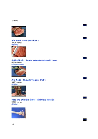 Anatomy

                                                  2:58




                                                  3:04
Arm Model - Shoulder - Part 2
2,436 views
drbobrd




                                                  0:31
INCORRECT #1 levator scapulae, pectoralis major
6,800 views
csufbiostudent




                                                  2:46
Arm Model - Shoulder Region - Part 1
3,493 views
drbobrd




                                                  4:16
Head and Shoulder Model - Infrahyoid Muscles
3,166 views
drbobrd




                                                  2:05

248
 