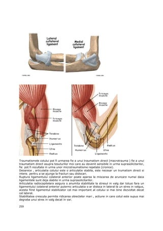 Traumatismele cotului pot fi urmarea fie a unui traumatism direct (macrotrauma ) fie a unui
traumatism direct asupra tesuturilor moi care au devenit sensibile in urma suprasolicitarilor,
fie pot fi rezultate in urma unor microtraumatisme repetate (cronice).
Deoarece , articulatia cotului este o articulatie stabila, este necesar un trumatism direct si
intens pentru a se ajunge la fracturi sau dislocari.
Ruptura ligamentului colateral anterior poate aparea la miscarea de aruncare numai daca
ligamentele sunt deja slabite in urma suprasolicitarilor.
Articulatia radiocapitelara asigura o anumita stabilitate la stresul in valg dar totusi fara un
ligamentului colateral anterior puternic articulatia s-ar disloca in lateral la un stres in valgus,
acesta fiind ligamentul stabilizator cel mai important al cotului si mai bine dezvoltat decat
cel lateral.
Stabilitatea crescuta permite ridicarea obiectelor mari , actiune in care cotul este supus mai
degraba unui stres in valg decat in var.

259
 