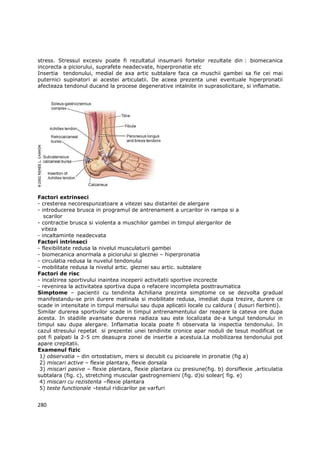 stress. Stressul excesiv poate fi rezultatul insumarii fortelor rezultate din : biomecanica
incorecta a piciorului, suprafete neadecvate, hiperpronatie etc
Insertia tendonului, medial de axa artic subtalare faca ca muschii gambei sa fie cei mai
puternici supinatori ai acestei articulatii. De aceea prezenta unei eventuale hiperpronatii
afecteaza tendonul ducand la procese degenerative intalnite in suprasolicitare, si inflamatie.




Factori extrinseci
- cresterea necorespunzatoare a vitezei sau distantei de alergare
- introducerea brusca in programul de antrenament a urcarilor in rampa si a
   scarilor
- contractie brusca si violenta a muschilor gambei in timpul alergarilor de
  viteza
- incaltaminte neadecvata
Factori intrinseci
- flexibilitate redusa la nivelul musculaturii gambei
- biomecanica anormala a piciorului si gleznei – hiperpronatia
- circulatia redusa la nuvelul tendonului
- mobilitate redusa la nivelul artic. gleznei sau artic. subtalare
Factori de risc
- incalzirea sportivului inaintea inceperii activitatii sportive incorecte
- revenirea la activitatea sportiva dupa o refacere incompleta posttraumatica
Simptome – pacientii cu tendinita Achiliana prezinta simptome ce se dezvolta gradual
manifestandu-se prin durere matinala si mobilitate redusa, imediat dupa trezire, durere ce
scade in intensitate in timpul mersului sau dupa aplicatii locale cu caldura ( dusuri fierbinti).
Similar durerea sportivilor scade in timpul antrenamentului dar reapare la cateva ore dupa
acesta. In stadiile avansate durerea radiaza sau este localizata de-a lungul tendonului in
timpul sau dupa alergare. Inflamatia locala poate fi observata la inspectia tendonului. In
cazul stresului repetat si prezentei unei tendinite cronice apar noduli de tesut modificat ce
pot fi palpati la 2-5 cm deasupra zonei de insertie a acestuia.La mobilizarea tendonului pot
apare crepitatii.
Examenul fizic
 1) observatia – din ortostatism, mers si decubit cu picioarele in pronatie (fig a)
 2) miscari active – flexie plantara, flexie dorsala
 3) miscari pasive – flexie plantara, flexie plantara cu presiune(fig. b) dorsiflexie ,articulatia
subtalara (fig. c), stretching muscular gastrognemieni (fig. d)si solear( fig. e)
 4) miscari cu rezistenta –flexie plantara
 5) teste functionale –testul ridicarilor pe varfuri


280
 