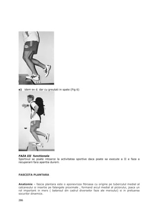 e)    idem ex d. dar cu greutati in spate (Fig 6)




FAZA III functionala
Sportivul se poate intoarce la activitatea sportive daca poate sa execute a II a faza a
recuperarii fara aparitia durerii.



FASCIITA PLANTARA


Anatomie – fascia plantara este o aponevroza fibroasa cu origine pe tuberculul medial al
calcaneului si insertie pe falangele proximale , formand arcul medial al piciorului, joaca un
rol important in mers ( balansul din cadrul diverselor faze ale mersului) si in preluarea
socurilor dinamice.

286
 