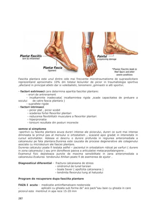 Fasciita plantara este unul dintre cele mai frecvente microtraumatisme de suprasolicitare
reprezentand aproximativ 10% din totalul leziunilor de picior in traumatologia sportiva
,afectand in principal atletii dar si voleibalistii, tenismenii ,gimnastii si alti sportivi.

- factori extrinseci care determina aparitia fasciitei plantare:
      - erori de antrenament
      - incaltaminte inadecvata( incaltamintea rigida ,scade capacitatea de preluare a
socului      de catre fascia plantara )
      - suprafete rigide
- factori intrinseci
        - picior plat , picior scobit
        - scaderea fortei flexorilor plantari
        - reducerea flexibilitatii musculare a flexorilor plantari
        - hiperpronatia
        - torsiuni rezultate din posturi incorecte

semne si simptome
-sportivii cu fasciita plantara acuza dureri intense ale piciorului, dureri ce sunt mai intense
dimineata la primul pas al mersului si ortostatism , scazand apoi gradat in intensitate in
cursul activitatilor. Adesea ei descriu o durere profunda in regiunea anteromediala a
calcaneului pe fata plantara.Durerea este cauzata de procese degenerative ale colagenului
asociate cu microleziuni ale fasciei plantare.
Durerea calcaiului poate fi testata astfel – pacientul in ortostatism ridicat pe varfuri ( durere
in zona calcaneului ) sau prin dorsiflexie pasiva a articulatiei metacarpofalangiene .
Examenul fizic depisteaza puncte de maxima sensibilitate in zana anteromediala a
calcaneului.Evalurea tendonului Ahilian poate fi de asemenea de ajutor .

Diagnosticul diferential - fractura calcaneana de stress
                           - sindromul de tunel tarsian
                           - boala Sever ( apofizita calcaneana )
                           - tendinita flexorului lung al halucelui

Program de recuperare dupa fasciita plantare

FAZA I acuta - medicatie antiinflamatoare nesteroida
-                aplicatii cu gheata sub forma de” ace pack”sau baie cu gheata in care
piciorul este mentinut in apa rece 15-20 min

287
 