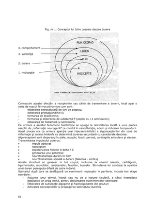 Fig. nr 1. Conceptul lui John Loesers despre durere




4. comportament

3. suferinŃă


2. durere


1. nocicepŃie




Consecutiv acestei afectări a receptorilor sau căilor de transmitere a durerii, local apar o
serie de reacŃii farmacodinamice cum sunt:
-      eliberarea extracelulară de ioni de potasiu;
-      eliberarea prostaglandinei E;
-      formarea de bradikinine;
-      formarea şi eliberarea de substanŃă P (peptid cu 11 aminoacizi);
-      eliberarea de histamină şi serotonină.
Ca urmare a acestor fenomene biochimice se ajunge la dezvoltarea locală a unui proces
aseptic de „inflamaŃie neurogenă” ce constă în vasodilataŃie, edem şi ridicarea temperaturii.
Acest proces are ca urmare apariŃia unei hipersensibilizări a algoreceptorilor din zona de
inflamaŃie şi zonele limitrofe ce determină durerea secundară cu caracterele descrise.
Algoreceptorii sunt dispersaŃi în piele, muşchi, fascii, periost, cartilagiile articulare şi viscere.
Transmiterea impulsului dureros:
•          impuls adecvat
•          nociceptori
•          depolarizarea fibrelor A delta / C
•          generarea unui potenŃial
•          neurotransmisia durerii în SNP
•          neurotransmisia spinală a durerii (talamus - cortex)
Aceste structuri se gaasesc in tot corpul, inclusive la nivelul oaselor, cartilajelor,
ligamentelor, muschilor, tendoanelor, fasciilor, burselor. Stimularea lor conduce la aparitia
unei dureri perceputa diferit de catre individ.
Scenariul după care se desfăşoară un eveniment nociceptiv în periferie, include trei etape
esenŃiale:
    - AcŃiunea unui stimul, însoŃit sau nu de o leziune tisulară, a cărui intensitate
       depăşeşte un prag limită, pentru declanşarea evenimentelor ulterioare
    - Eliberarea de substanŃe algogene şi hiperalgeziante din Ńesuturi
    - Activarea nociceptorilor şi propagarea semnalului dureros


81
 