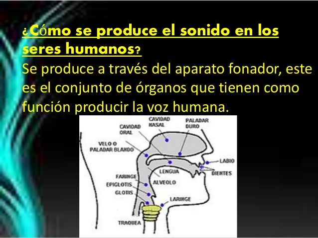 Recuperatorio, voz humana
