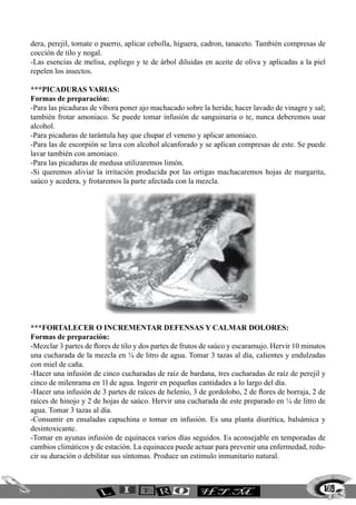 169
dera, perejil, tomate o puerro, aplicar cebolla, higuera, cadron, tanaceto. También compresas de
cocción de tilo y nogal.
-Las esencias de melisa, espliego y te de árbol diluidas en aceite de oliva y aplicadas a la piel
repelen los insectos.
***PICADURAS VARIAS:
Formas de preparación:
-Para las picaduras de víbora poner ajo machacado sobre la herida; hacer lavado de vinagre y sal;
también frotar amoniaco. Se puede tomar infusión de sanguinaria o te, nunca deberemos usar
alcohol.
-Para picaduras de tarántula hay que chupar el veneno y aplicar amoniaco.
-Para las de escorpión se lava con alcohol alcanforado y se aplican compresas de este. Se puede
lavar también con amoniaco.
-Para las picaduras de medusa utilizaremos limón.
-Si queremos aliviar la irritación producida por las ortigas machacaremos hojas de margarita,
saúco y acedera, y frotaremos la parte afectada con la mezcla.
***FORTALECER O INCREMENTAR DEFENSAS Y CALMAR DOLORES:
Formas de preparación:
-Mezclar 3 partes de flores de tilo y dos partes de frutos de saúco y escaramujo. Hervir 10 minutos
una cucharada de la mezcla en ¼ de litro de agua. Tomar 3 tazas al día, calientes y endulzadas
con miel de caña.
-Hacer una infusión de cinco cucharadas de raíz de bardana, tres cucharadas de raíz de perejil y
cinco de milenrama en 1l de agua. Ingerir en pequeñas cantidades a lo largo del día.
-Hacer una infusión de 3 partes de raíces de helenio, 3 de gordolobo, 2 de flores de borraja, 2 de
raíces de hinojo y 2 de hojas de saúco. Hervir una cucharada de este preparado en ¼ de litro de
agua. Tomar 3 tazas al día.
-Consumir en ensaladas capuchina o tomar en infusión. Es una planta diurética, balsámica y
desintoxicante.
-Tomar en ayunas infusión de equinacea varios días seguidos. Es aconsejable en temporadas de
cambios climáticos y de estación. La equinacea puede actuar para prevenir una enfermedad, redu-
cir su duración o debilitar sus síntomas. Produce un estimulo inmunitario natural.
 