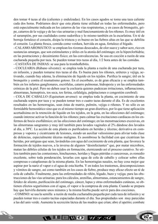 157
den tomar 4 tazas al día (calientes y endulzadas). En los casos agudos se toma una taza caliente
cada dos horas. Podríamos decir que esta planta tiene utilidad en todas las enfermedades, pero
está especialmente indicada en los catarros de las vías respiratorias, y en casos de bronquitis, gri-
pe, catarros de la vejiga y de las vías urinarias y mal funcionamiento de los riñones. Es muy útil en
el sarampión, por sus cualidades como sudorífica y lo mismo también en la escarlatina. Un té de
borraja fortalece el corazón, disipa la tristeza y es bueno en las fiebres altas en las que se debilita
el corazón. La planta fresca, comida como verdura, hervida en agua, fortalece el hígado.
- CALAMOAROMÁTICO: se emplean los rizomas desecados, de olor suave y sabor acre, rico en
sustancias amargas, que son estimulantes y útiles en la atonía del estómago; en la hiperclorhidria;
en las postraciones y decaimiento físico; en las convalecencias. Se usa en cocción a razón de una
cucharada pequeña por taza. Se pueden tomar tres tazas al día, 1/2 hora antes de las comidas.
- CASTAÑA DE INDIAS: se usa para la tromboflebitis.
- COCLEARIA (Rábano silvestre): se emplea toda la planta a razón de una cucharada por taza,
en infusión, y pueden tomarse tres tazas al día. Es buena para los riñones, uréteres y vejiga, ac-
tivando, cuando hay edema, la eliminación de líquido en los tejidos. Purifica la sangre; útil en la
bronquitis y contra el reumatismo gotoso. En el escorbuto, es de gran eficacia y se emplea tam-
bién en los infartos ganglionares, escrófulas, catarro pulmonar, hidropesía y en las enfermedades
crónicas de la piel. Pero no deben usar la coclearia quienes padezcan irritaciones, inflamaciones,
almorranas, hemoptisis, tos seca, tos ferina, cefalalgia, palpitaciones o congestión cerebral).
- COLA DE CABALLO (Equisetum arvense): se emplea toda la planta, en cocimiento de una
cucharada sopera por taza y se pueden tomar tres o cuatro tazas durante el día. Es de excelentes
resultados en las hemorragias, sean éstas de matriz, pulmón, vejiga o riñones. Y no sólo es un
formidable hemostático sino que es al mismo tiempo un gran diurético, por lo que tiene aplicación
acertadísima en la retención de líquido en los tejidos, en la gota, en las afecciones del estómago;
cuando interese activar la función de los riñones; para calmar las excitaciones cardiacas en los en-
fermos de bocio exoftálmico; en las afecciones del estómago; en las menstruaciones excesivas, en
las almorranas sangrantes y muy útil también para lavados vaginales al 2% dándose dos lavados
al día, a 38ºC. La acción de esta planta es purificadora en heridas y úlceras; derivativa en com-
presas y vapores y cicatrizante de lesiones, siendo un auxiliar valiosísimo para aliviar toda clase
de dolencias, especialmente úlceras malignas. Es asombrosa la facilidad con que cicatrizan las
heridas, por antiguas que sean, lavándolas con agua del cocimiento de esta planta, que favorece la
formación de tejidos nuevos, a la inversa de algunos “desinfectantes” que, por matar microbios,
matan las débiles células de los tejidos en formación, eternizando así el proceso curativo. Se uti-
liza también para las contusiones, hinchazones, heridas y llagas pútridas o cancerosas, es remedio
excelente, sobre toda ponderación, lavarlas con agua de cola de caballo y colocar sobre ellas
compresas o cataplasmas de la misma planta. En las hemorragias nasales, no hay cosa mejor que
aspirar por la nariz el vapor o el agua de esta hierba. Y en todos los trastornos, descomposiciones
y vómitos de sangre, así como también en los casos de fiebre, produce muy eficaz efecto un té de
cola de caballo. Finalmente, para las enfermedades de riñón, hígado, bazo y vejiga; para las obs-
trucciones de las vías urinarias; para los cálculos, arenillas, almorranas, estancamientos de sangre,
fetidez de aliento, purificación del estómago, cáncer, lupus y otras enfermedades cutáneas, se ob-
tienen efectos segurísimos con el agua, el vapor o la compresa de esta planta. Cuando se prepara
hay que hervirla durante unos minutos y la misma hierba puede servir para dos cocciones.
- COMINO: se usa la semilla a razón de media cucharadita pequeña por cada taza de infusión y se
pueden tomar tres o cuatro tacitas espaciadas durante el día. Sus propiedades son muy parecidas
a las del anís verde. Aumenta la secreción láctea de las madres que crían; abre el apetito; combate
 