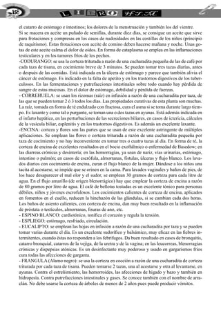 el catarro de estómago e intestinos; los dolores de la menstruación y también los del vientre.
Si se macera en aceite un puñado de semillas, durante diez días, se consigue un aceite que sirve
para frotaciones y compresas en los casos de nudosidades en las costillas de los niños (principio
de raquitismo). Estas frotaciones con aceite de comino deben hacerse mañana y noche. Unas go-
tas de este aceite calma el dolor de oídos. En forma de cataplasma se emplea en las inflamaciones
testiculares y en los tumores fríos de los pechos.
-CODURANGO: se usa la corteza triturada a razón de una cucharadita pequeña de las de café por
cada taza de tisana, en cocimiento breve de 3 minutos. Se pueden tomar tres tazas diarias, antes
o después de las comidas. Está indicada en la úlcera de estómago y parece que también alivia el
cáncer de estómago. Es indicado en la falta de apetito y en los trastornos digestivos de los tuber-
culosos. En las fermentaciones y putrefacciones intestinales sobre todo cuando hay pérdida de
sangre de estas mucosas. En el dolor de estómago, debilidad y pérdida de fuerzas.
- CORREHUELA: se usan los rizomas (raíz) en infusión a razón de una cucharadita por taza, de
las que se pueden tomar 2 ó 3 todos los días. Las propiedades curativas de esta planta son muchas.
La raíz, tomada en forma de té endulzado con fructosa, cura el asma si se toma durante largo tiem-
po. Es laxante y como tal o purgante, se toman una o dos tazas en ayunas. Está además indicada en
el infarto hepático, en las perturbaciones de las secreciones biliares, en casos de ictericia, cálculos
de la vesícula biliar, esplenitis y en los trastornos digestivos. Es además un excelente laxante.
-ENCINA: corteza y flores son las partes que se usan de este excelente astringente de múltiples
aplicaciones. Se emplean las flores o corteza triturada a razón de una cucharadita pequeña por
taza de cocimiento y no hay inconveniente en tomar tres o cuatro tazas al día. En forma de té, la
corteza de encina de excelentes resultados en el bocio exoftálmico o enfermedad de Basedow; en
las diarreas crónicas y desintería; en las hemorragias, ya sean de nariz, vías urinarias, estómago,
intestino o pulmón; en casos de escrófula, almorranas, fístulas, úlceras y flujo blanco. Los lava-
dos diarios con cocimiento de encina, curan el flujo blanco de la mujer. Dándose a los niños una
tacita al acostarse, se impide que se orinen en la cama. Para lavados vaginales y baños de pies, de
los hace desaparecer el mal olor y el sudor, se emplean 30 gramos de corteza para cada litro de
agua. En el flujo amarillo (de origen blenorrágico) hay que emplear la corteza de encina a razón
de 80 gramos por litro de agua. El café de bellotas tostadas es un excelente tónico para personas
débiles, niños y jóvenes escrofulosos. Los cocimientos calientes de corteza de encina, aplicados
en fomentos en el cuello, reducen la hinchazón de las glándulas, si se cambian cada dos horas.
Los baños de asiento calientes, con corteza de encina, dan muy buen resultado en la inflamación
de próstata o testículos, almorranas, fisuras de ano, etc.
- ESPINO BLANCO: cardiotónico, tonifica el corazón y regula la tensión.
- ESPLIEGO: estómago, resfriado, circulación.
- EUCALIPTO: se emplean las hojas en infusión a razón de una cucharadita por taza y se pueden
tomar varias durante el día. Es un excelente sudorífico y balsámico, muy eficaz en las fiebres in-
termitentes, cuando éstas no responden a los febrífugos. Da buen resultado en casos de bronquitis,
catarro bronquial, catarros de la vejiga, de la uretra y de la vagina; en las leucorreas, blenorragias
crónicas y dispepsias atónicas. Es un desinfectante muy poderoso y usado en gargarismos fríos
cura todas las afecciones de garganta.
- FRANGULA (Alamo negro): se usa la corteza en cocción a razón de una cucharadita de corteza
triturada por cada taza de tisana. Pueden tomarse 2 tazas, una al acostarse y otra al levantarse, en
ayunas. Contra el estreñimiento, las hemorroides, las afecciones de hígado y bazo y también en
hidropesía. Contra putrefacciones intestinales y gases. Se conoce también con el nombre de arra-
clán. No debe usarse la corteza de árboles de menos de 2 años pues puede producir vómitos.
158
 