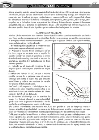 última solución, cuando hayan fracasado todos los demás intentos: Recuerda que estos también
son tóxicos, así que hay que tener mucho cuidado en su elaboración y manejo. Los remedios más
conocidos son: licuado de ajo, agua con jabón (no es recomendable con las lechugas), té de tabaco
(no aplicar con plantas de la familia solanaceae, como jitomate, chile, patata), té de ajenjo, chile
en polvo, un té de bichos (tomar una parte de los bichos y deshacerlas con agua en la licuadora:
aparentemente así se espantan los compañeros plaga - esto funciona bien con los pulgones). To-
dos estos son bio¬insecticidas líquidos, que se rocían sobre las hojas de las plantas.
ALMaCIGOS Y SEMILLAS?
Muchas (de las variedades más comunes de una hortaliza casera conviene sembrarlas en alrnáci-
gos. Estos son las cunas para nuestras plantillas, donde van a germinar las semillas en un ambien-
te protegido dentro nuestro invernadero. Los almácigos se pueden fabricar con cajas de madera,
botes, cubetas viejas y sobre el suelo.
1.- Se hace algunos agujeros en el fondo del reci-
piente para asegurar el drenaje necesario.
2.- Preparar la mezcla de los almácigos: un ter-
cio tierra negra, un tercio de arena o arenilla de
tezontle (lino) y un tercio de composta o abono
de animal- todo esto hay que cernirlo a través de
una tela de alambre de 1 pulgada para no dejar
terrones grandes.
3.- Extender en el fondo del recipiente lo que
no pasó por el cernidor para propiciar un mejor
drenaje.
4.- Hacer una capa de 10 a 12 cm con la mezcla
cernida encima de la primera capa- si nuestro
almácigo está sobre el suelo, hay que aflojarlo
unos 20 cm. y colocar esta cantidad de mezcla
por encima de la tierra aflojada.
5.- Cuando está preparado el almácigo se hacen
con los dedos unos pequeños surcos sobre la su-
perficie de la tierra, en una distancia de 8 a 10 cm
entre sí y de 0.5 a 1 cm de hondo.
6.- Se siembra el almácigo con las semillas de-
seadas (ver lista de plantas), a una profundidad
igual a dos veces el grueso de la semilla. Por lo
regular las semillas pequeñas (como col, lechuga,
apio y chile) se siembran a una distancia de 0.5; las más grandes a 1 cm. En tiempo de sequía se
siembra al doble de profundidad. Un espacio de dedo entre cada semilla es adecuado para casi
todas las verduras que se siembran en almácigo (la lechuga debe de sembrarse más cerca).
7.- Después se cubre la semilla con la misma mezcla fina de almácigo, con cuidado para no echar
bolitas y piedras más grandes que la semilla Con la mano se aprieta un poco la tierra, para que no
se deslave la semilla y germine más a caja o una cubeta, puede ponerse en una carretilla o una
tina grande y llenarla con agua hasta el nivel del piso del almácigo. Así se humedece bien nuestra
tierra y no se deslava la semilla. Cuando la superficie de la tierra se saca del agua y se coloca en
la sombra hasta que nazca la primera plantita.
244
 